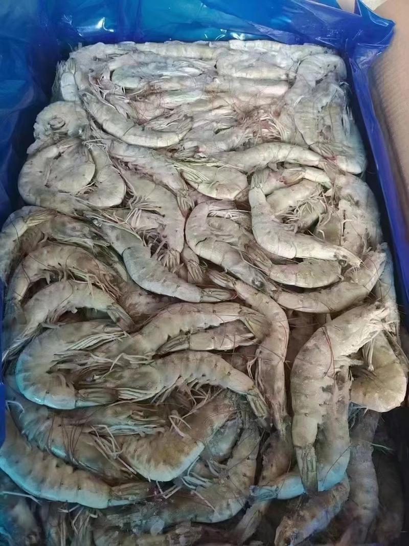 虾海虾30-4040-5050-60净重25斤