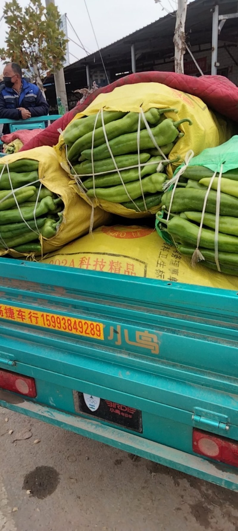 【精品黄皮尖椒】产地直供品质好价格优