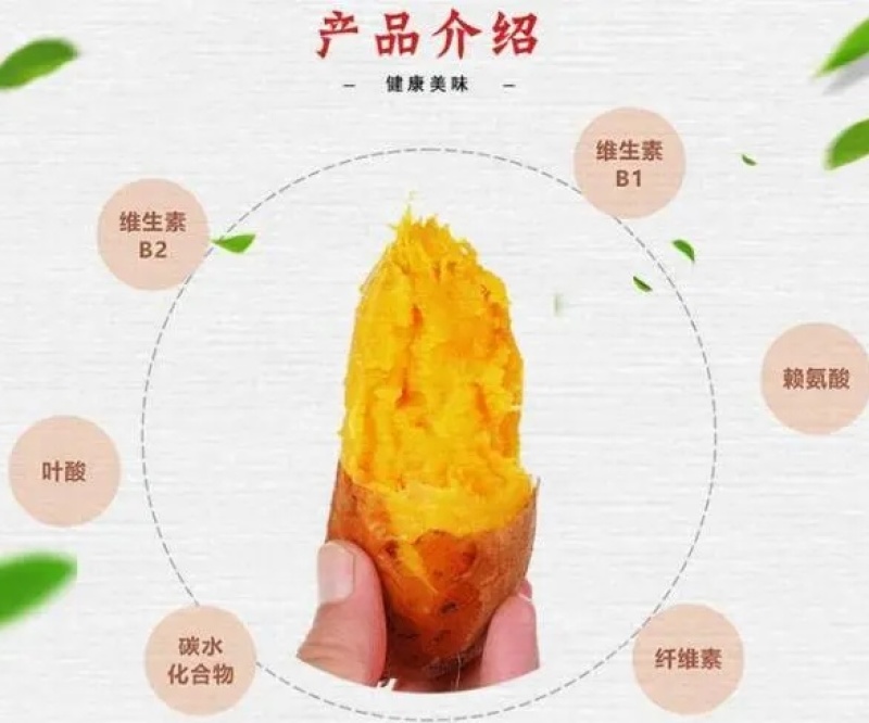 龙薯九红薯，产地直发价优，口感好糖高可看货欢迎