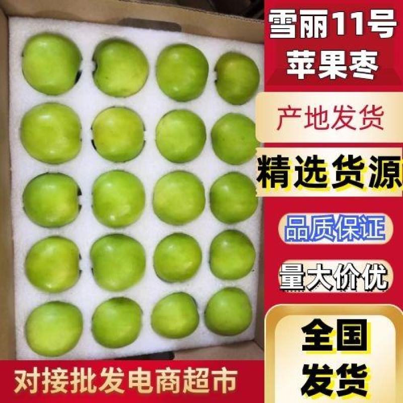 雪丽11号苹果枣，春雪蜜13牛奶枣青枣一件代发，