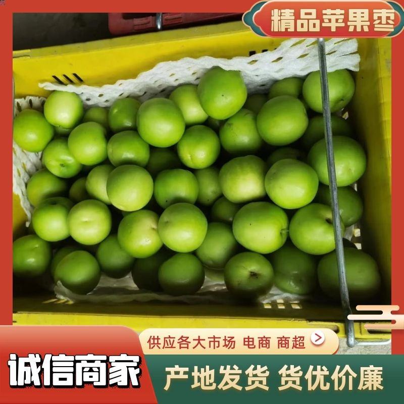 雪丽11号苹果枣，春雪蜜13牛奶枣青枣一件代发，