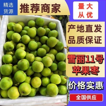 雪丽11号苹果枣，春雪蜜13牛奶枣青枣一件代发，