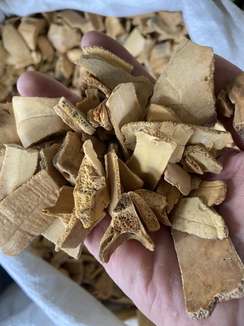 中药材龟板精选制龟板炙龟板野生醋龟甲