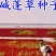 碱蓬草种子盐荒菜荒碱菜盐地碱蓬种子沙地荒地耐盐碱治理土壤