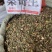 寄生桑寄生杂寄生