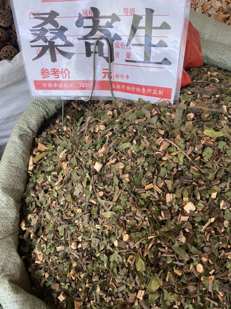 寄生桑寄生杂寄生