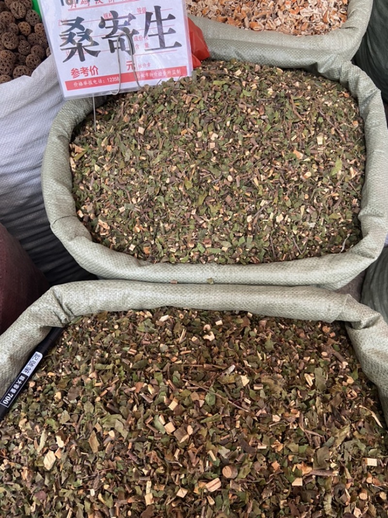 寄生桑寄生杂寄生