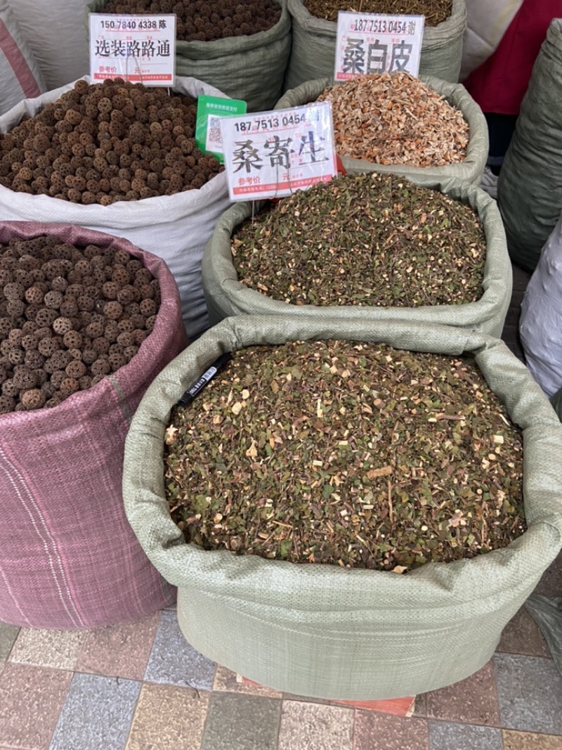 寄生桑寄生杂寄生