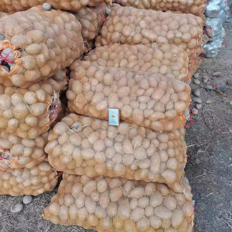 青海青薯9号土豆，货量大，质量好，全国发货，欢迎采购