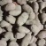 青海青薯9号土豆，货量大，质量好，全国发货，欢迎采购