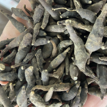 两头尖中药材两头尖红背银莲花红被银莲花正品
