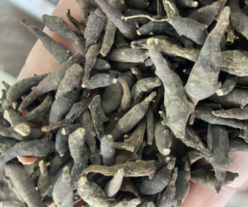 两头尖中药材两头尖红背银莲花红被银莲花正品