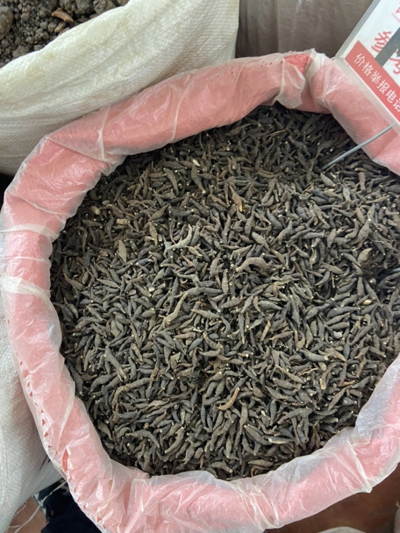 两头尖中药材两头尖红背银莲花红被银莲花正品