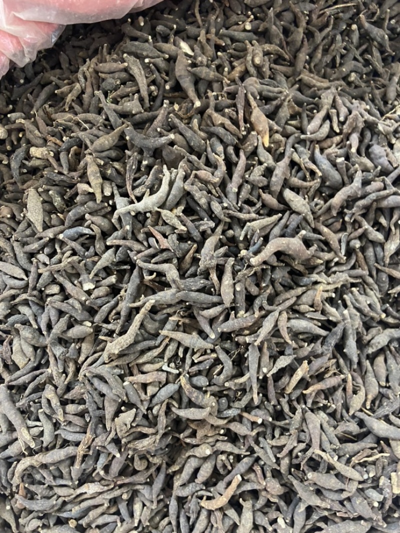 两头尖中药材两头尖红背银莲花红被银莲花正品