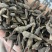 两头尖中药材两头尖红背银莲花红被银莲花正品