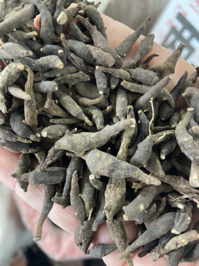 两头尖中药材两头尖红背银莲花红被银莲花正品
