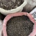 两头尖中药材两头尖红背银莲花红被银莲花正品