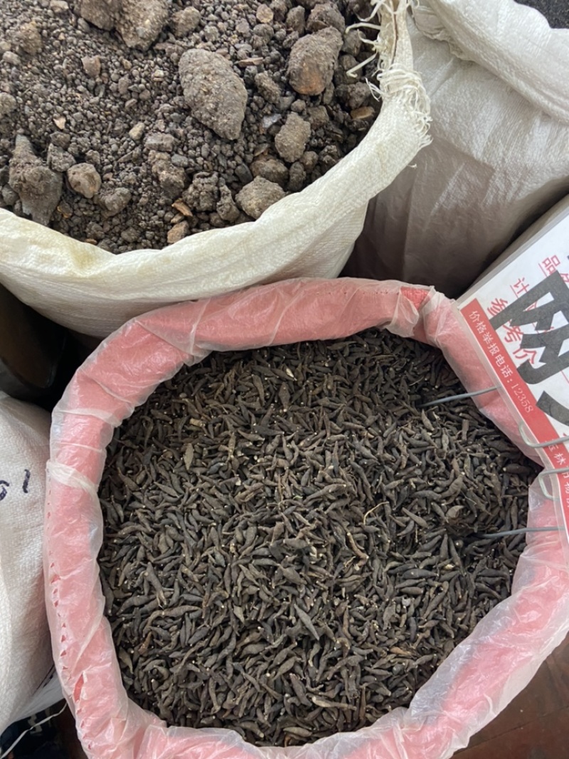 两头尖中药材两头尖红背银莲花红被银莲花正品