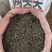 两头尖中药材两头尖红背银莲花红被银莲花正品