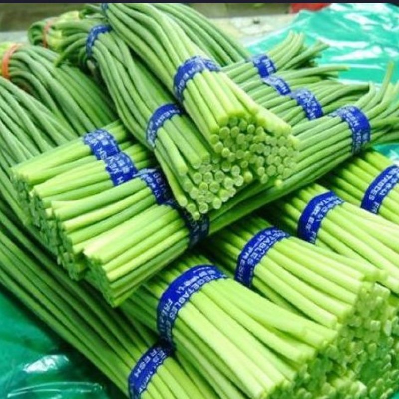 山东冷库蒜薹供应（红薹，白苔），货源充足保质保量全国发货