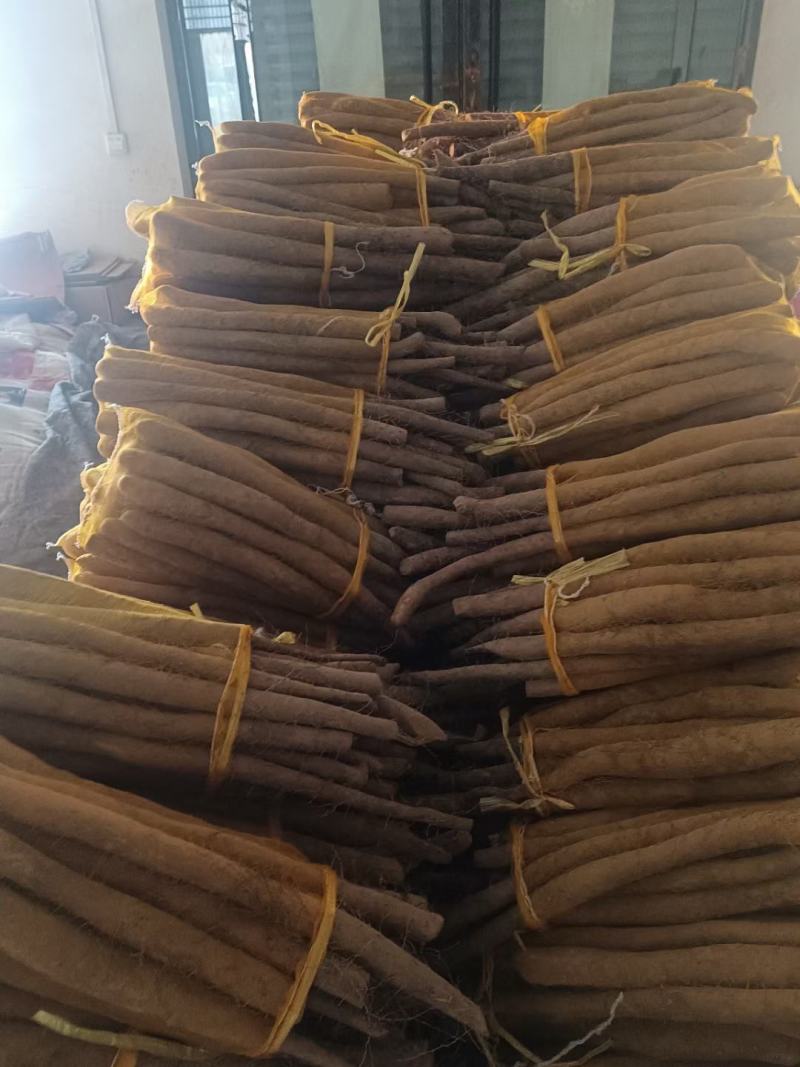 网袋山药