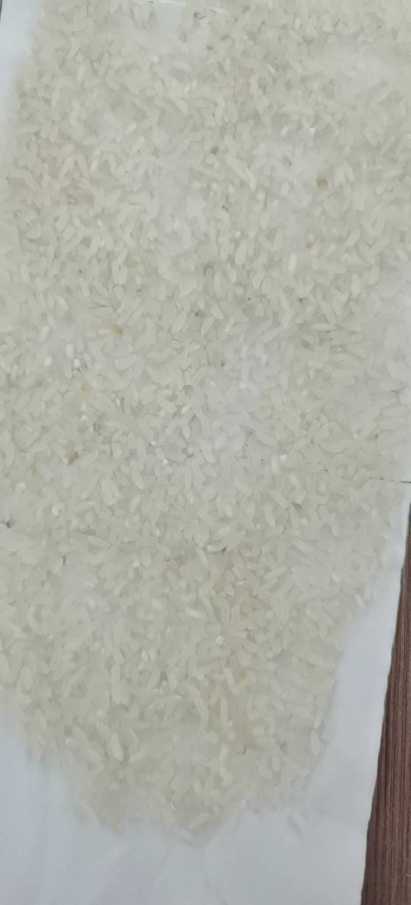 21杂交水稻