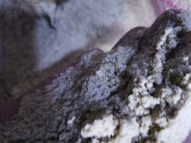 新鲜油糠，米油糠大米抛光粉，榨油家禽水产养殖优质饲料