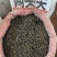 两头尖中药材两头尖红背银莲花红被银莲花正品