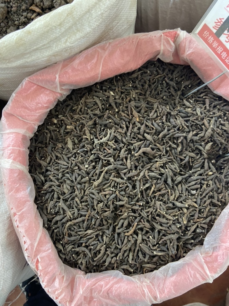 两头尖中药材两头尖红背银莲花红被银莲花正品