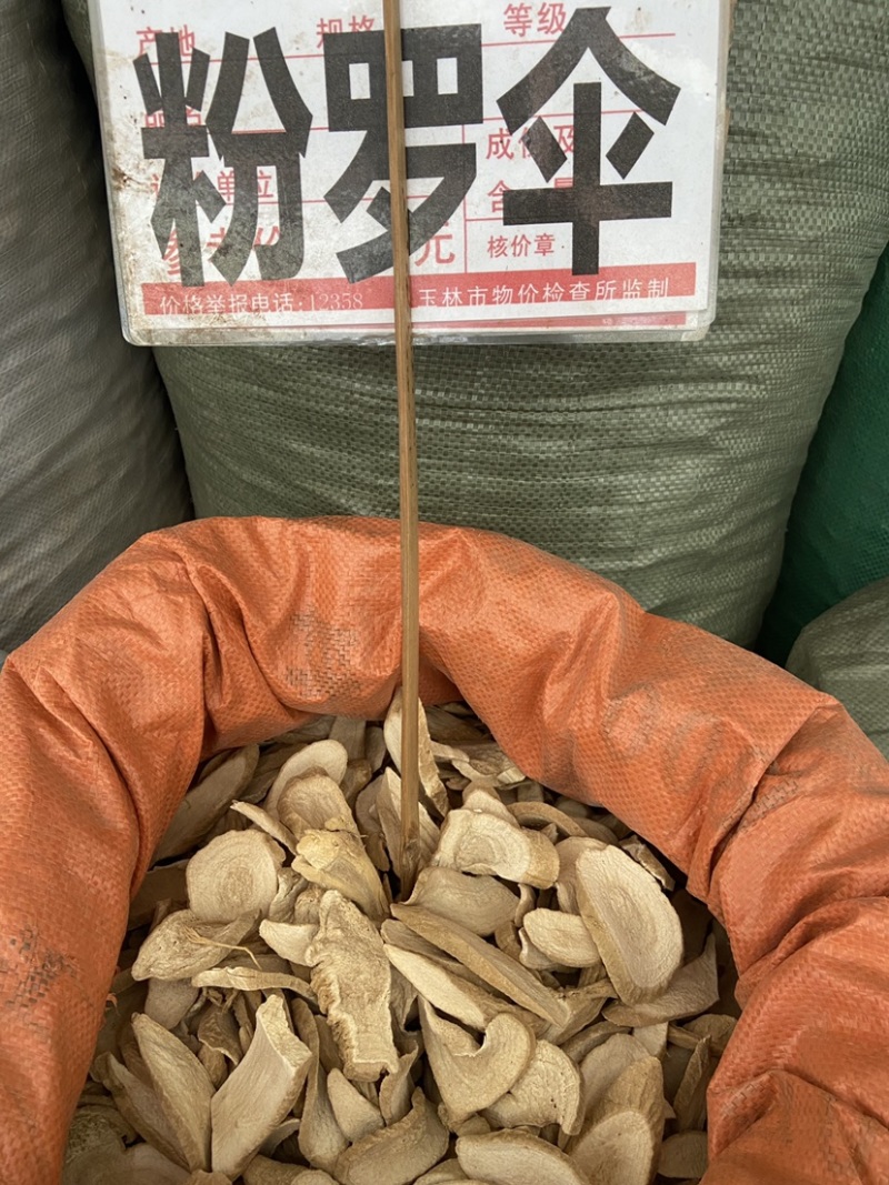 粉罗伞大罗伞中药材玉郎伞木肚端山大颜刀斧伤山大