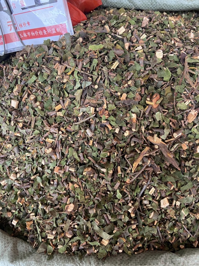 野生桑寄生中药材桑寄生中药批发