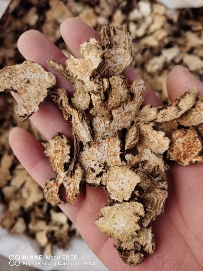 中药材苍术批发零售