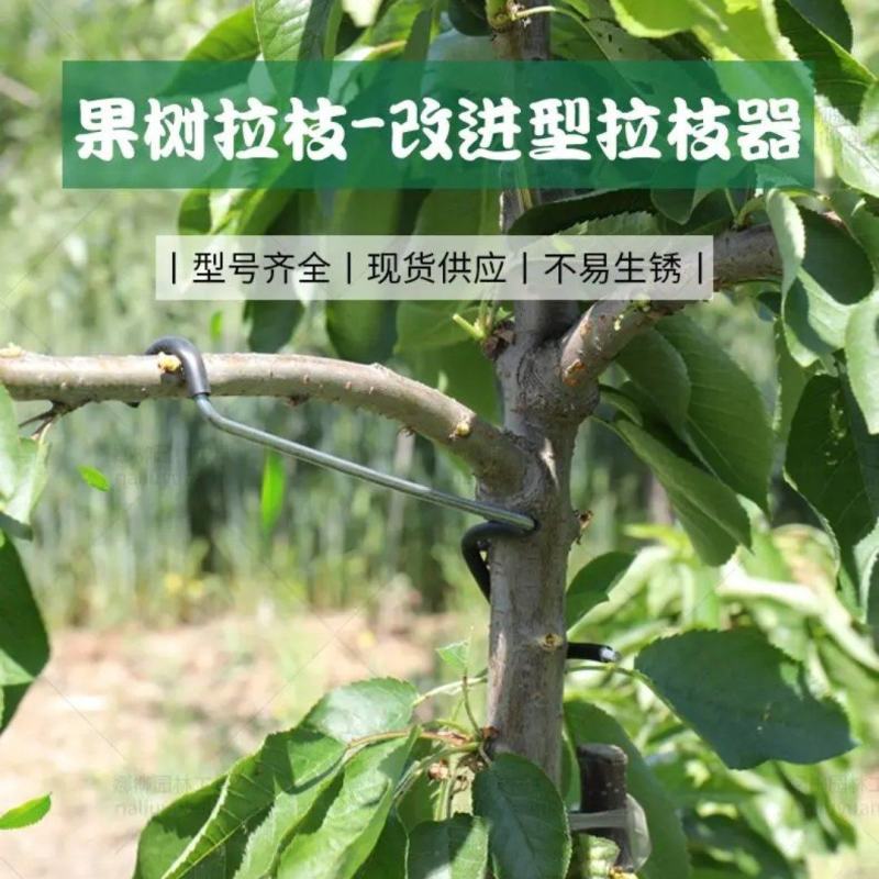 河北永德助果树拉枝器样品试用体验装改进型主干型S型M型