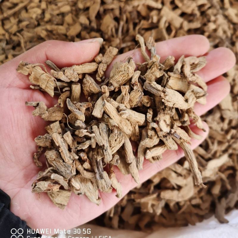 中药材巴戟天