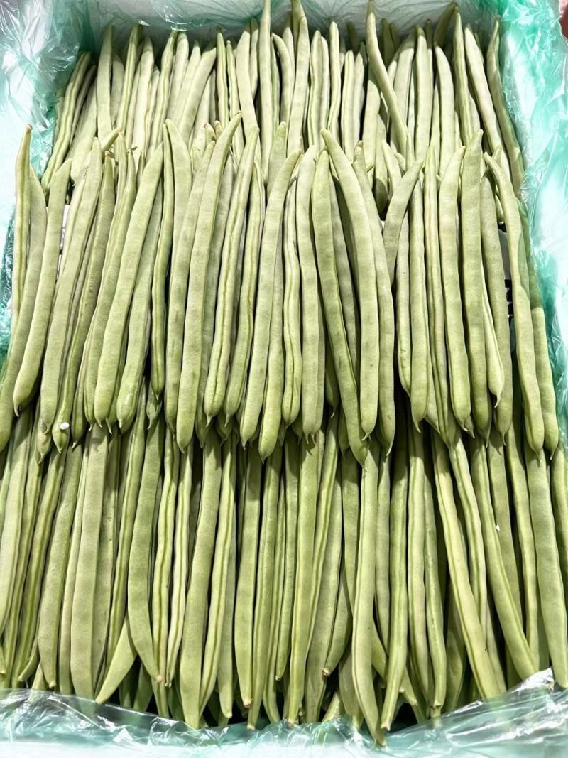 邯郸永年蔬菜批发市场四季豆产地大量有货