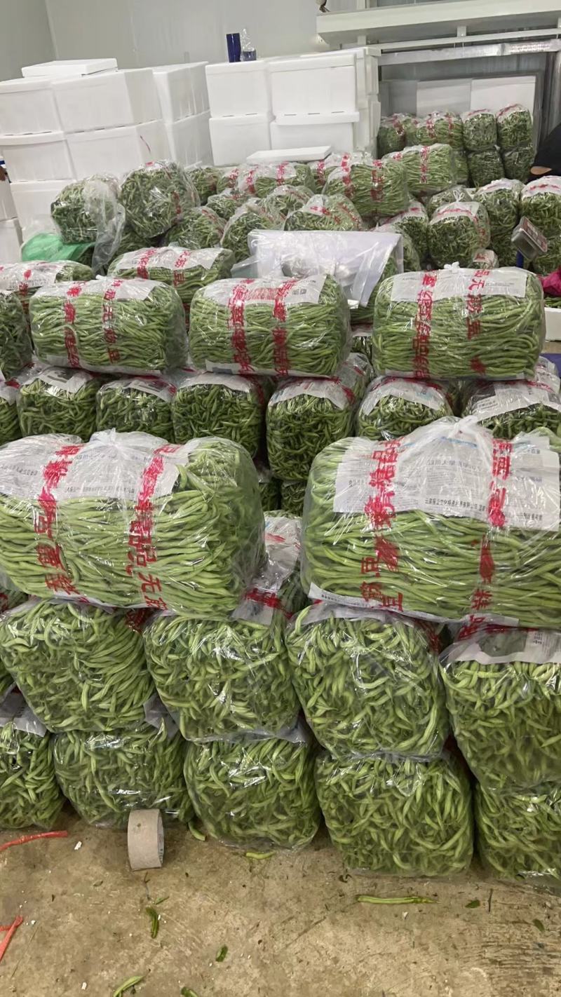 邯郸永年蔬菜批发市场四季豆产地大量有货