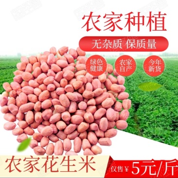 【自家种植花生花生米】身干无杂，种植面积千亩，保质保量