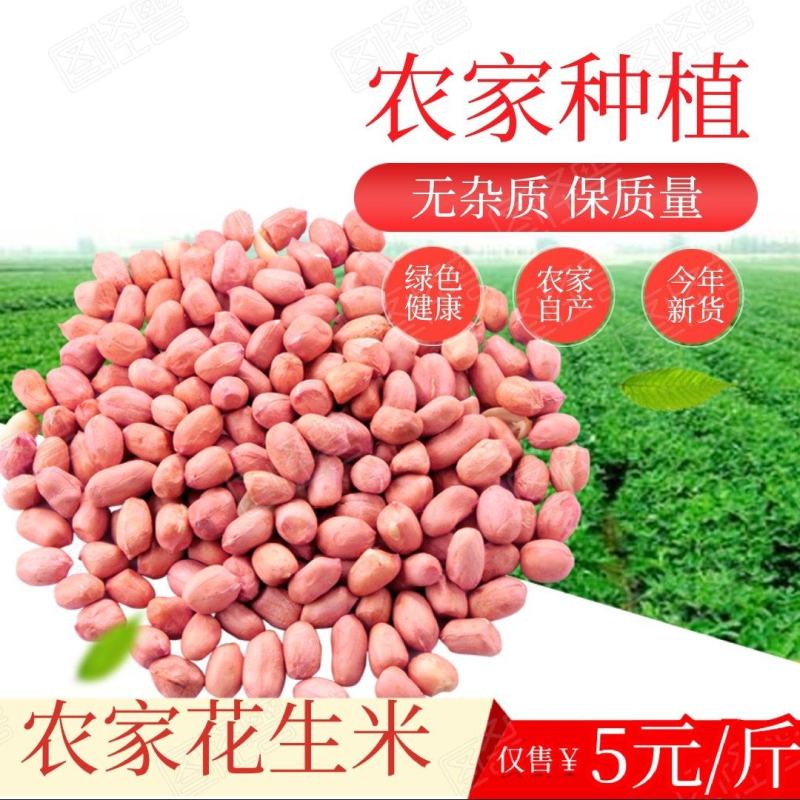 【自家种植花生花生米】身干无杂，种植面积千亩，保质保量