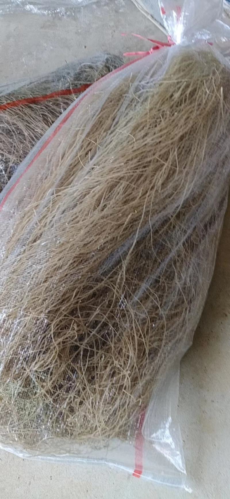 【纯红薯粉条】无明胶纯手工制作选用纯红薯淀粉制作