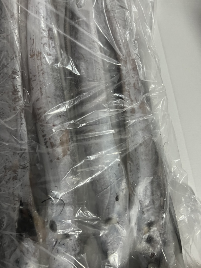 深海带鱼，脑袋小，白色眼圈，黑色眼珠肉质鲜嫩，