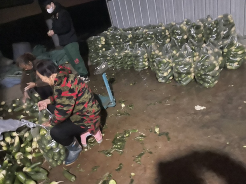 口感好，条形好，