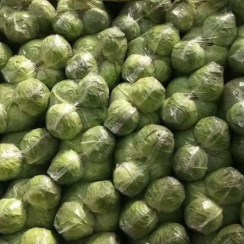 精品中甘甘蓝大量有货走市场，加工厂量大从优