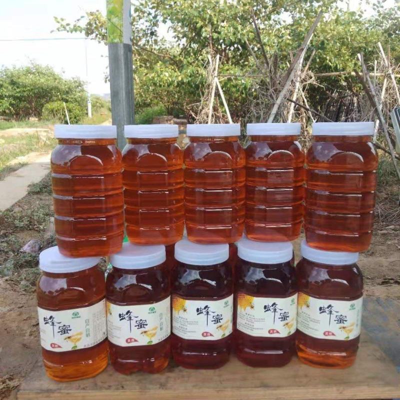 天然土蜂蜜/保真价格便宜欢迎来电价格商议