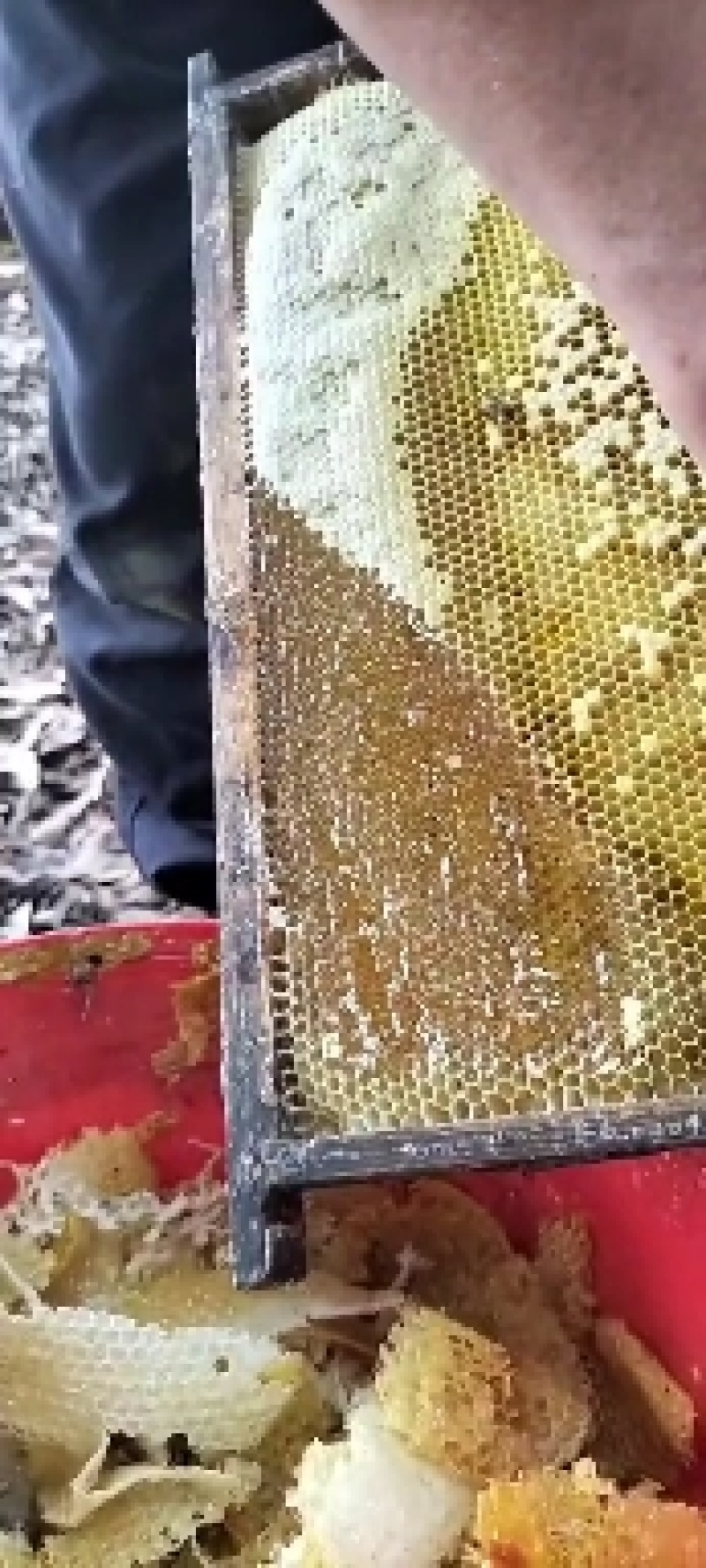 天然土蜂蜜/保真价格便宜欢迎来电价格商议
