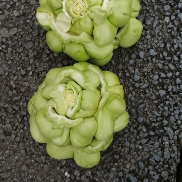 农副产品榨菜，自产自销