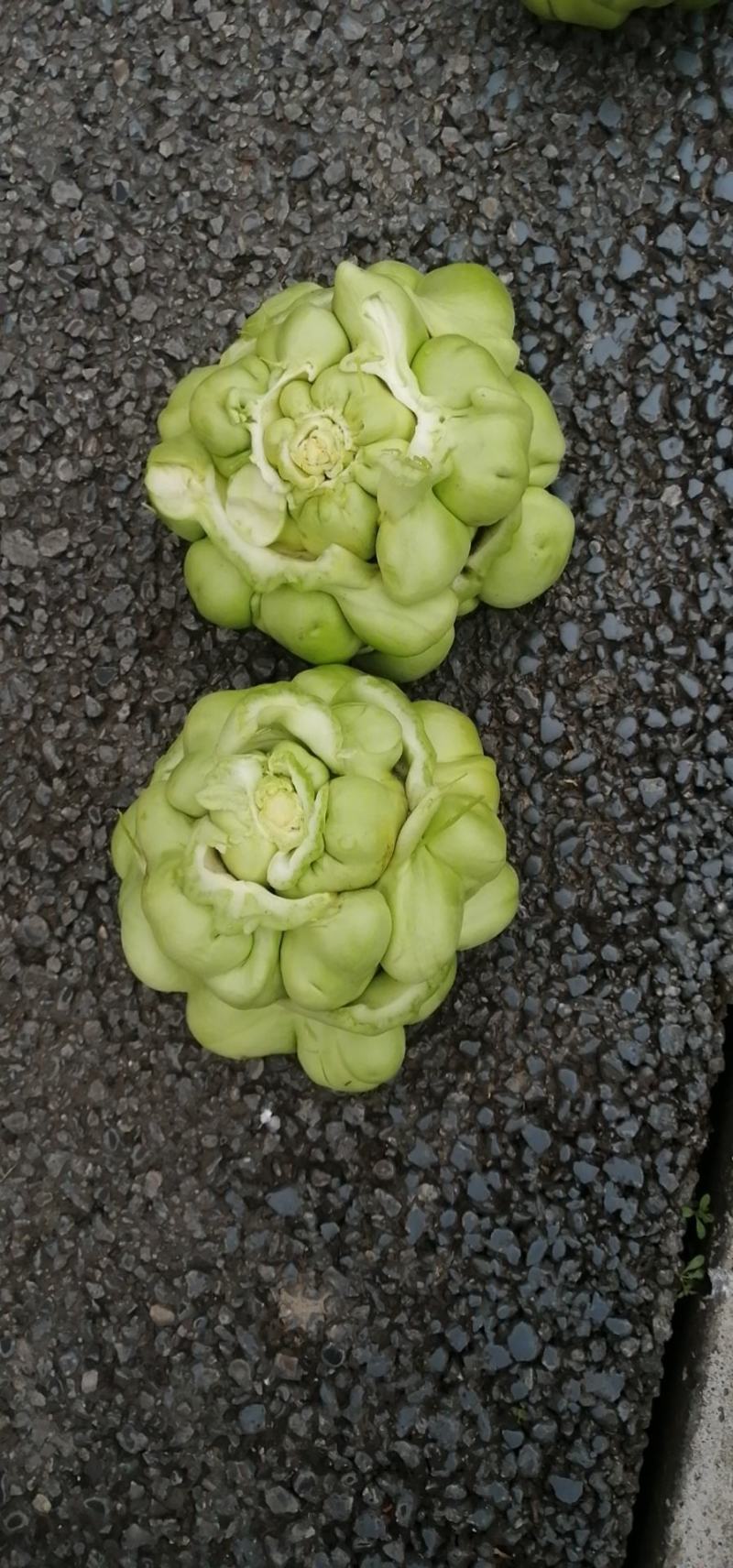 农副产品榨菜，自产自销