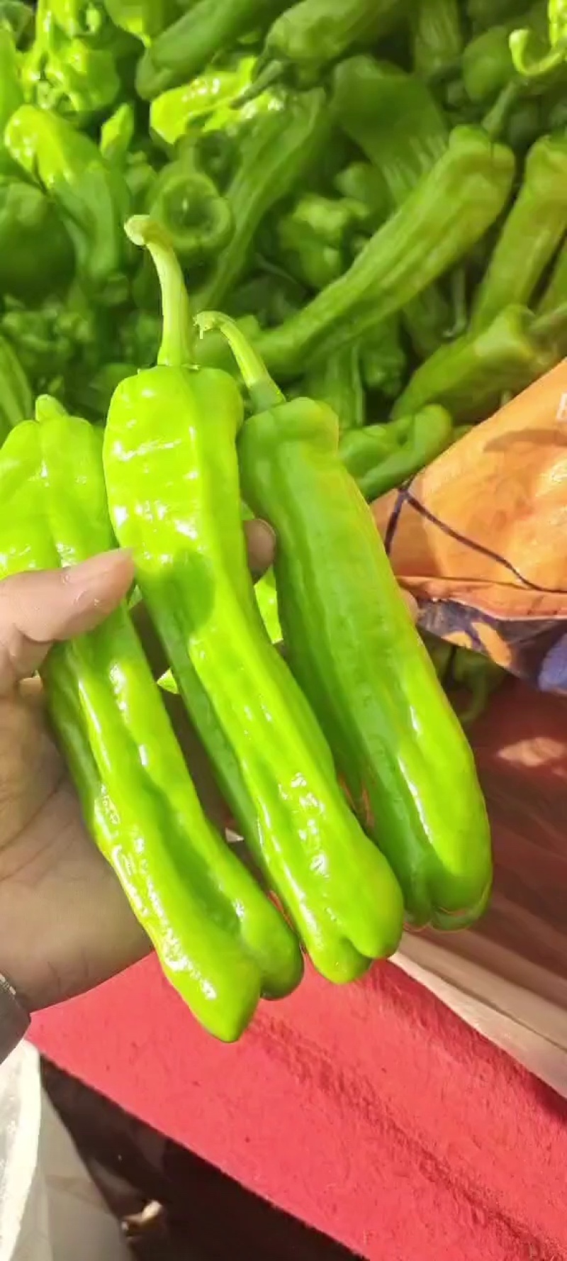 苏椒