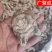白芨白及紫花三叉白芨个子切片统货选货中药材批发