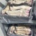 精品小牛蹄【一件代发】品质保证诚信经营始终如一欢迎联系