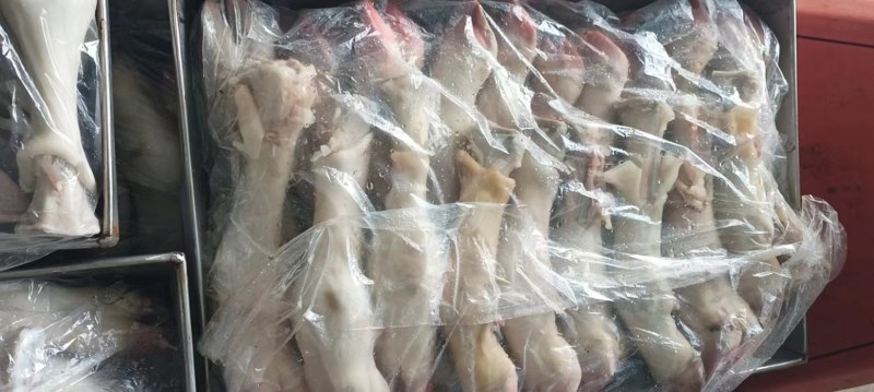 精品小牛蹄【一件代发】品质保证诚信经营始终如一欢迎联系
